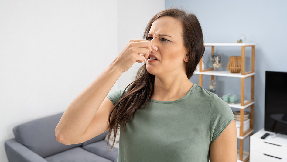 Six Common Air Conditioner Smells Decoded and How to Repair Them